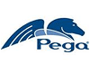 Pegasystems Pegasystems